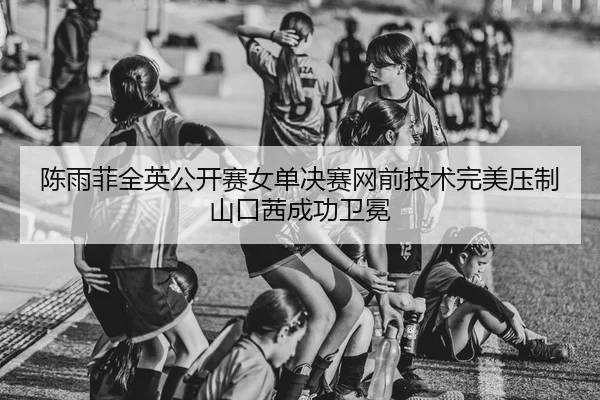 陈雨菲全英公开赛女单决赛网前技术完美压制山口茜成功卫冕