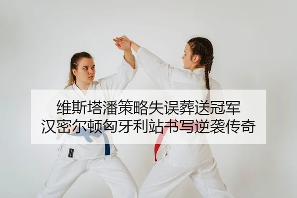 wei-si-ta-pan-ce-lve-shi-wu-zang-song-guan-jun-han-mi-er-dun-xiong-ya-li-zhan-shu-xie-ni-xi-chuan-qi-2-641.jpg